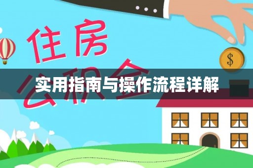连云实用指南与操作流程详解