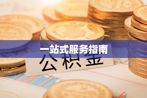 连云一站式服务指南